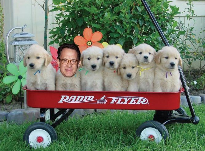 Bridge of Spies Review