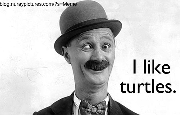 Cracked: After Hours