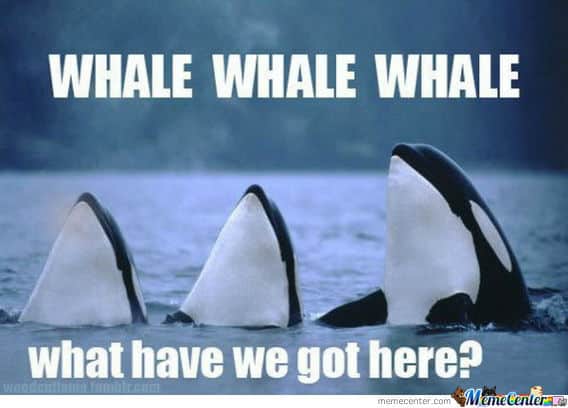 In The Heart Of The Sea Review