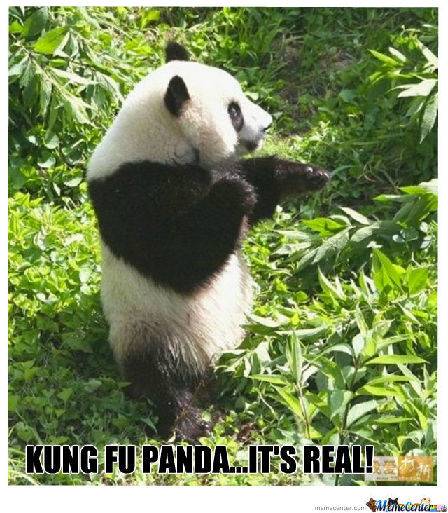 Panda Time (Kung Fu Panda 3 Review) -