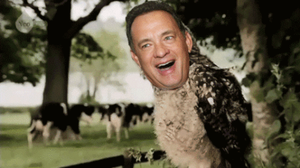 Tom Hanks анимация. Том Хэнкс Мем. Том Хэнкс гифка. Уилл сассо