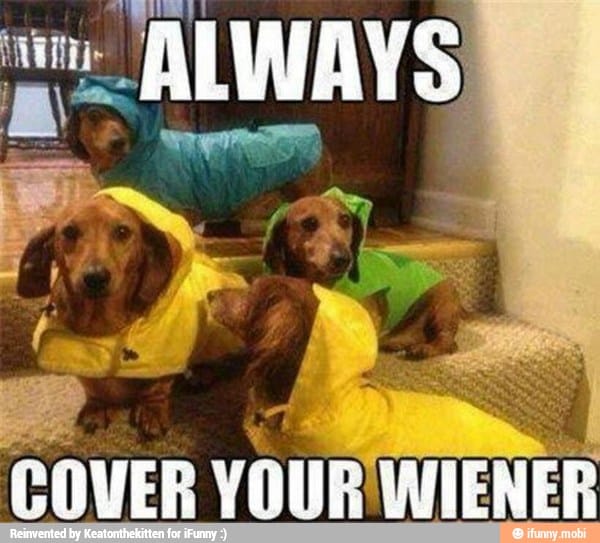 Wiener Pride (Wiener-Dog Official Trailer)