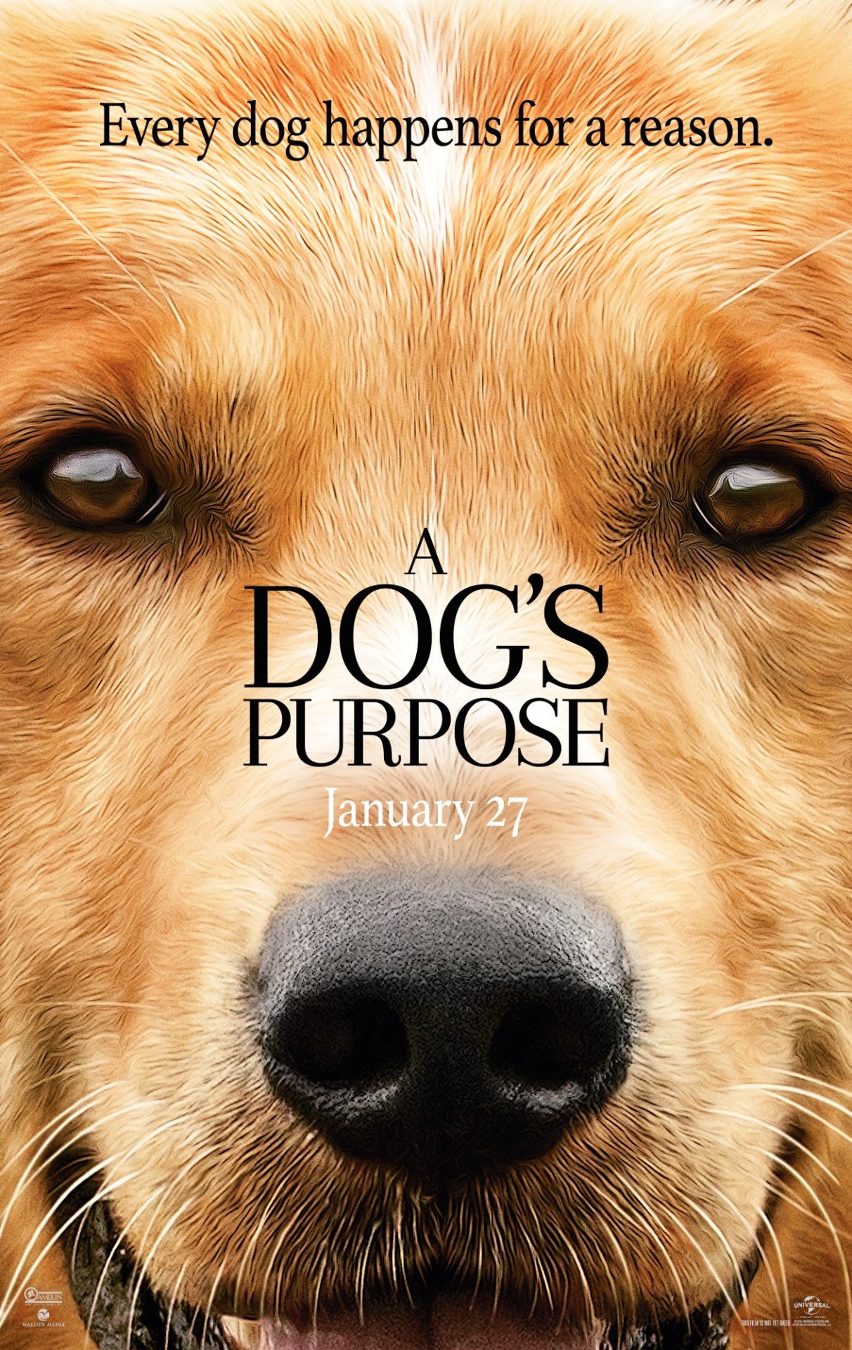A Dog’s Purpose – An Above Average TV Movie