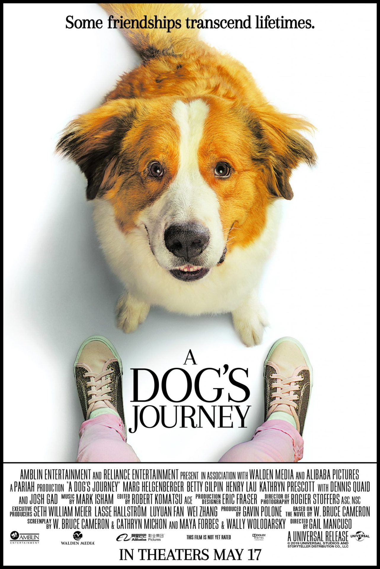 a dog's journey movie order
