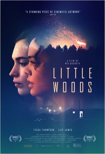 Tribeca 2018: Little Woods Review