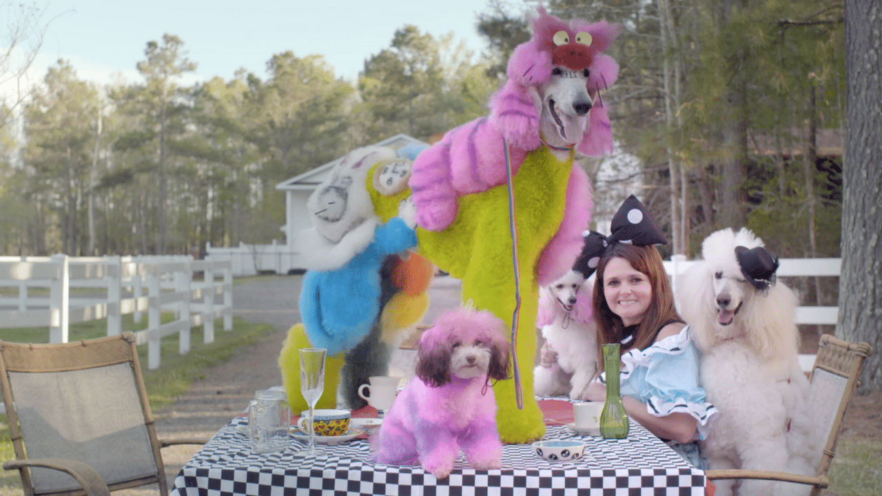 Hot Docs 2019: Well Groomed Review