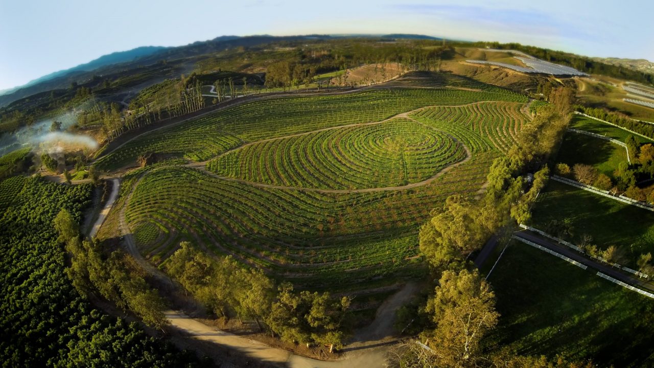 The Biggest Little Farm – An Inspiring Documentary