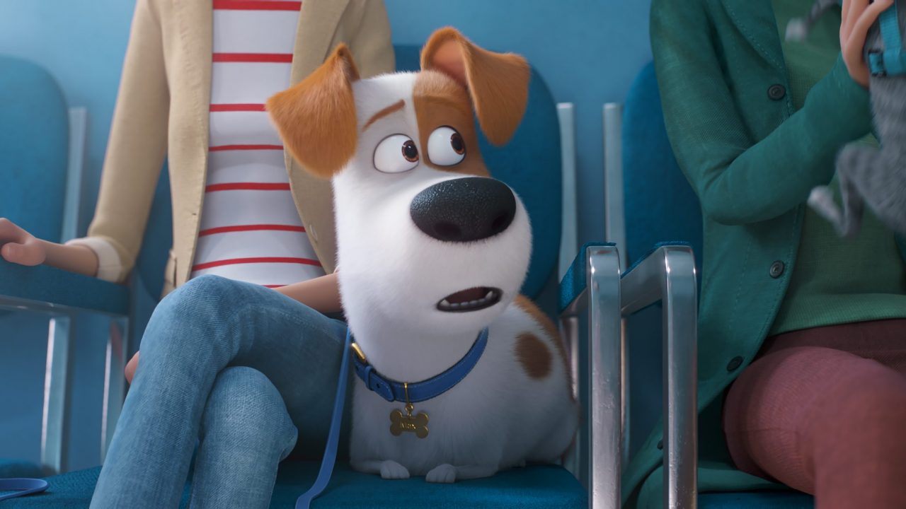 The Secret Life of Pets 2 – A Simplistic Follow-Up (Early Review)