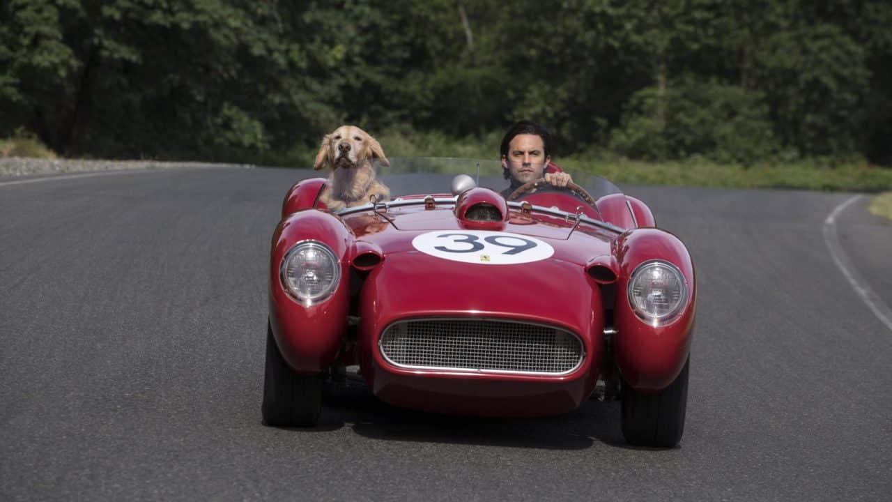 The Art of Racing in the Rain – An Uninspired Dog Drama (Early Review)