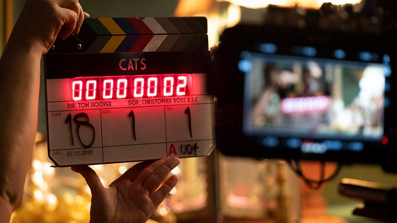 Cats – A Look Inside