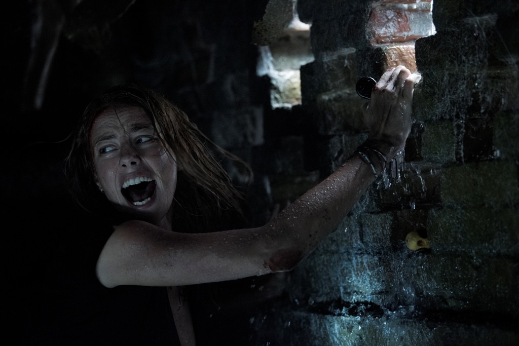 Crawl – A Decent Creature Feature
