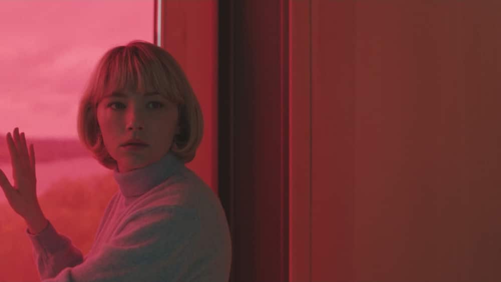 Fantasia 2019: Swallow Review