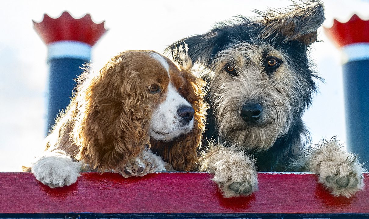 Lady and the Tramp – A Cutesy Live-Action Adaptation (Early Review)