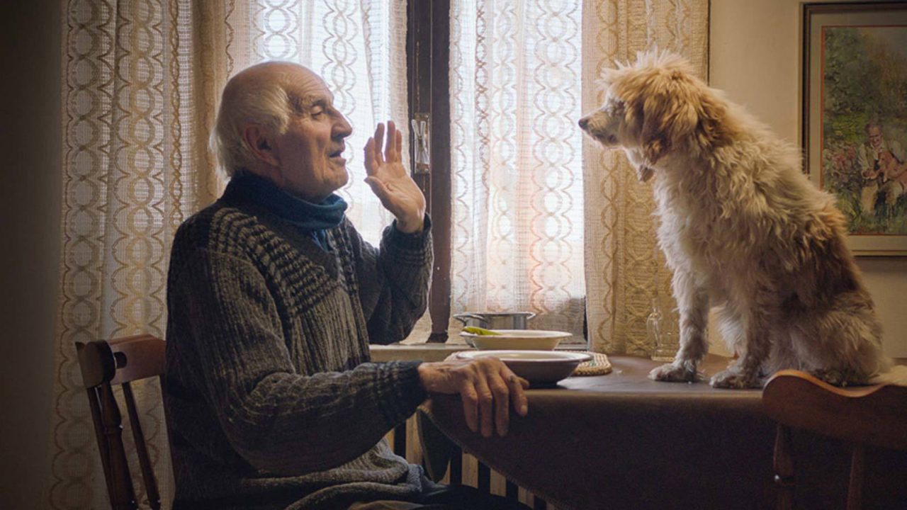 TIFF 2020: The Truffle Hunters Review