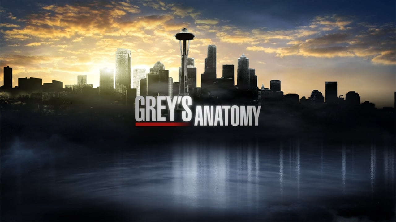 Grey's Anatomy (17x05) Fight the Power Review