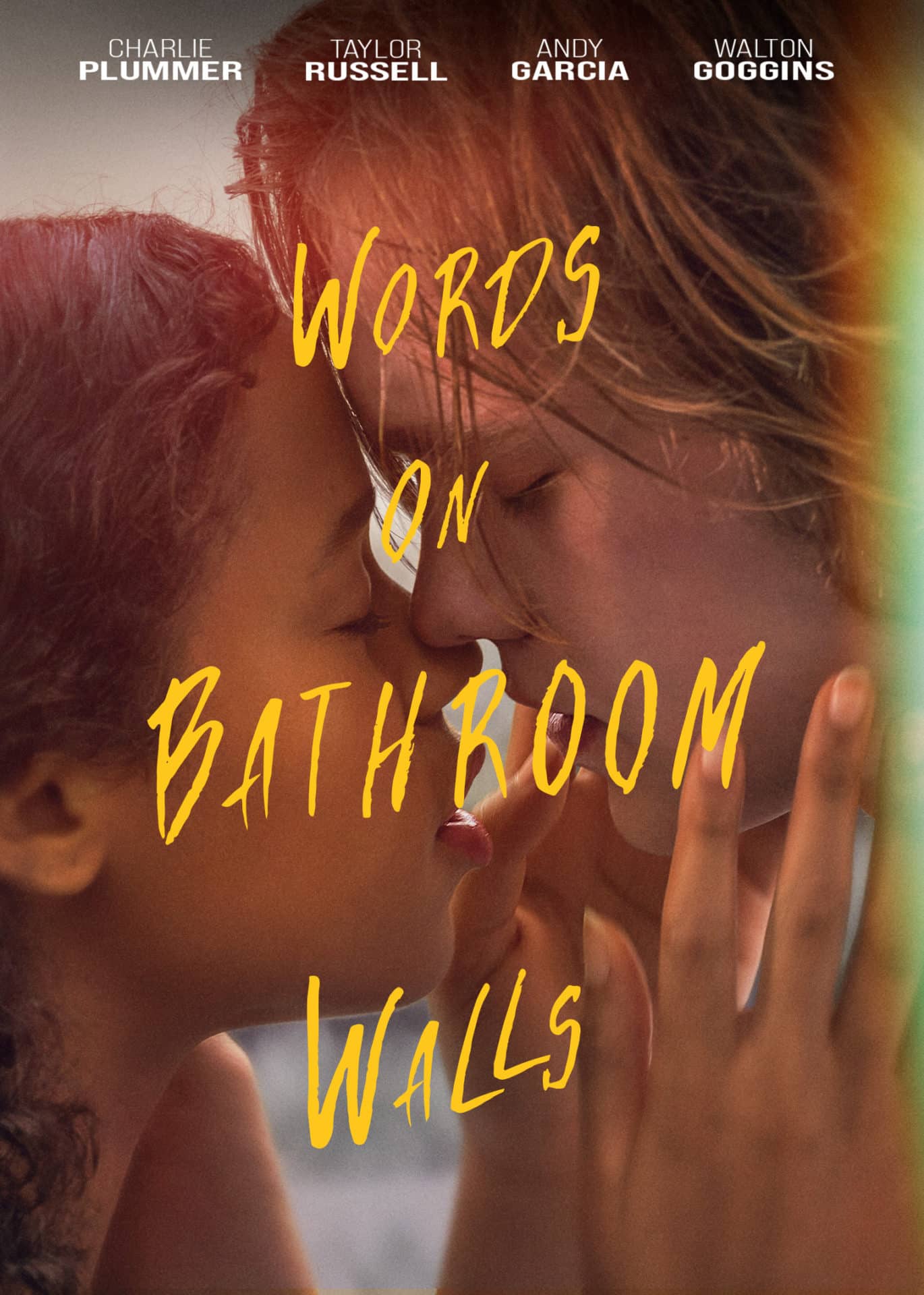 Words on Bathroom Walls An Engaging Mature YA Entry