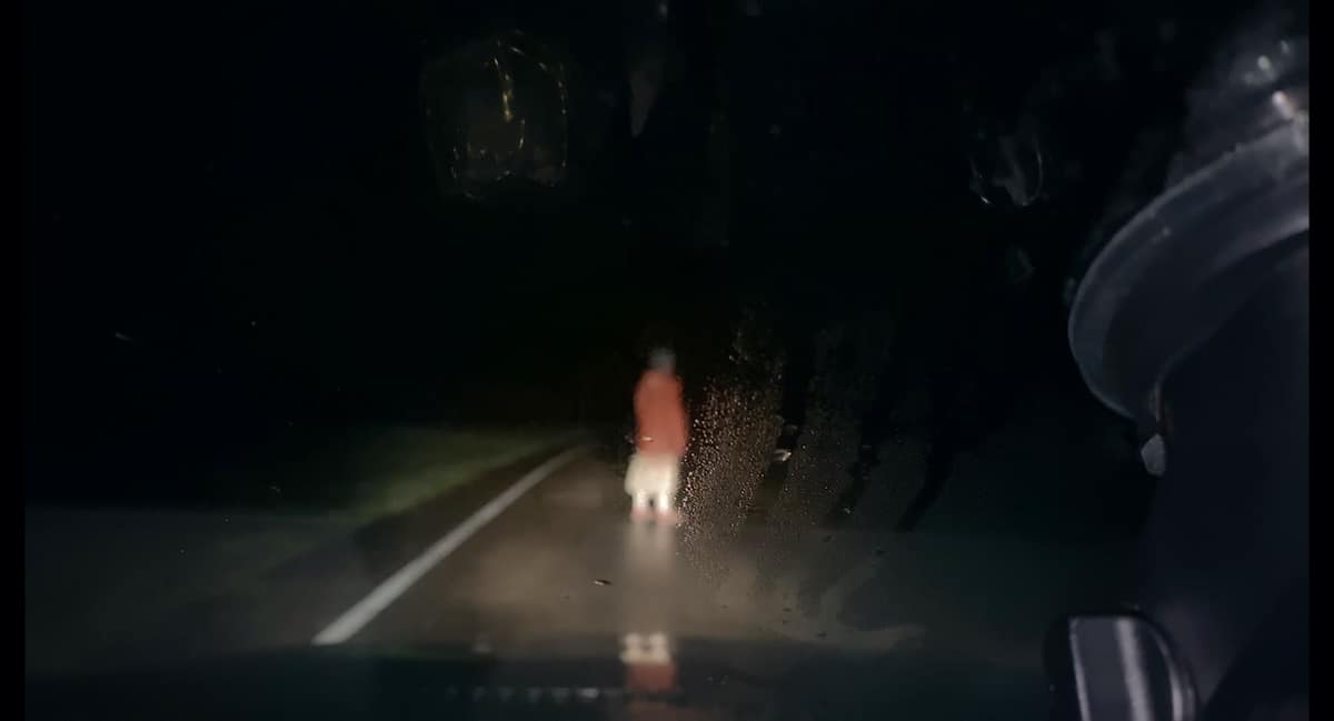 TIFF 2021: Dashcam Review