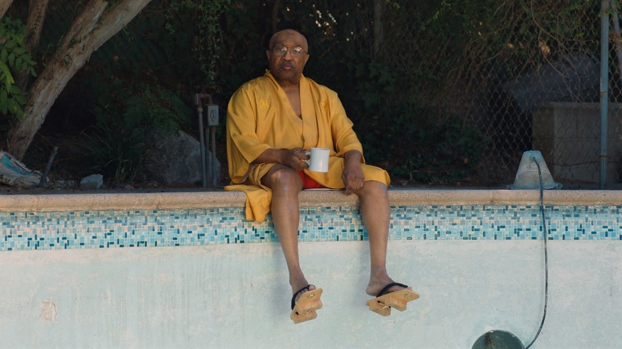 Hot Docs 2024: Swamp Dogg Gets His Pool Painted Review