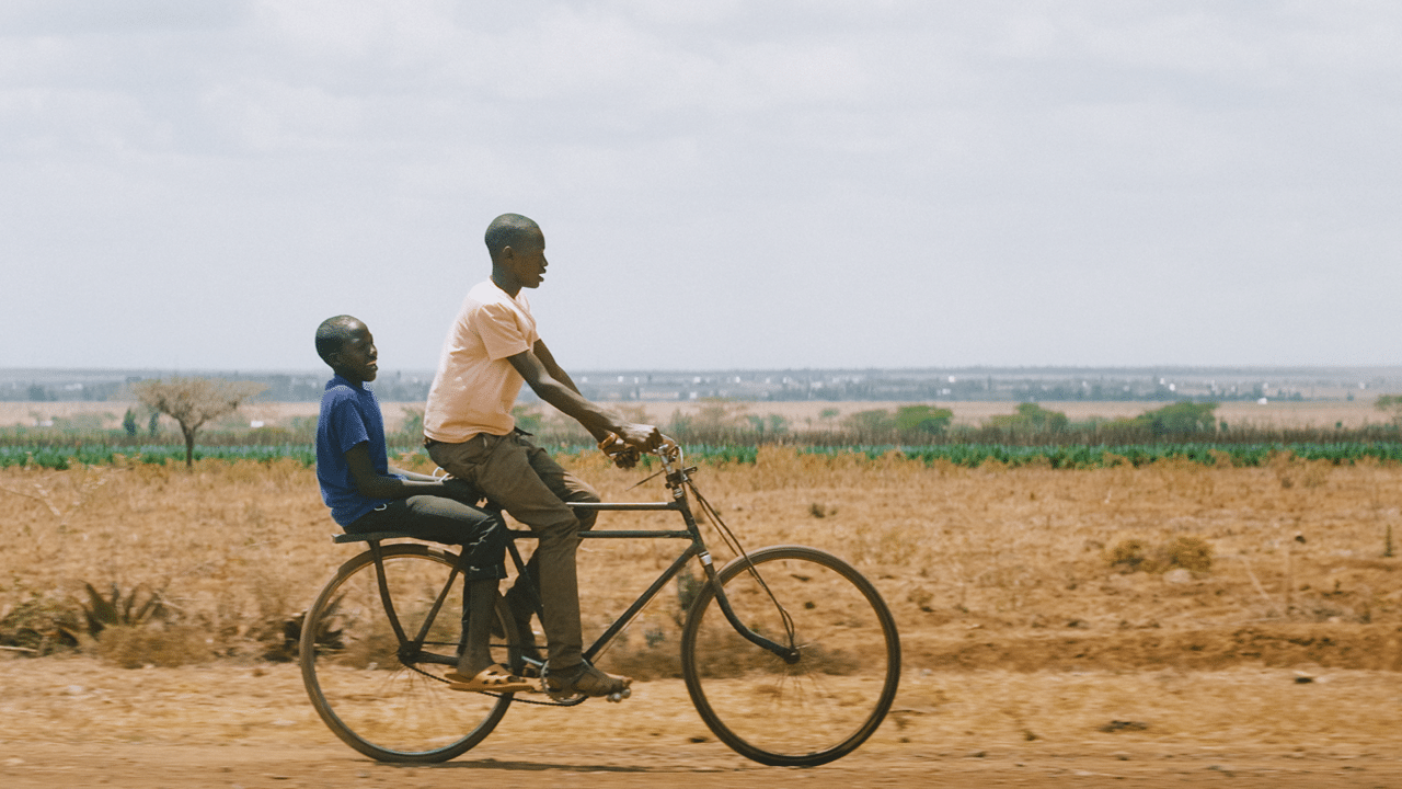 Tribeca 2024: Searching for Amani Review