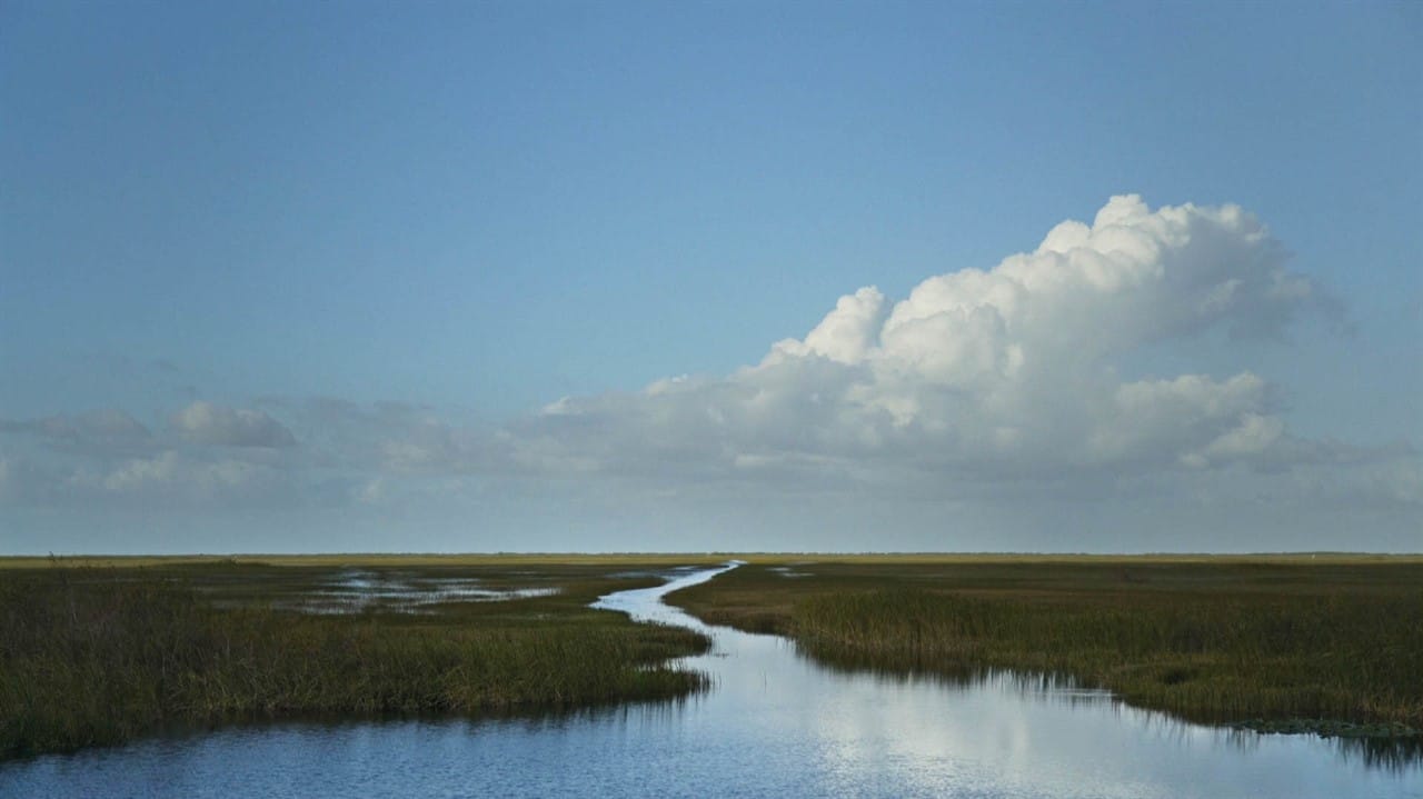 Hot Docs 2025: River of Grass Review