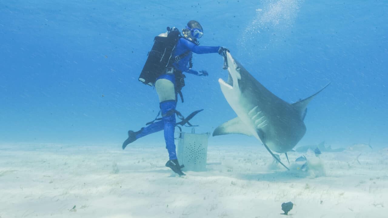 What’s Coming to Max (July 2025)