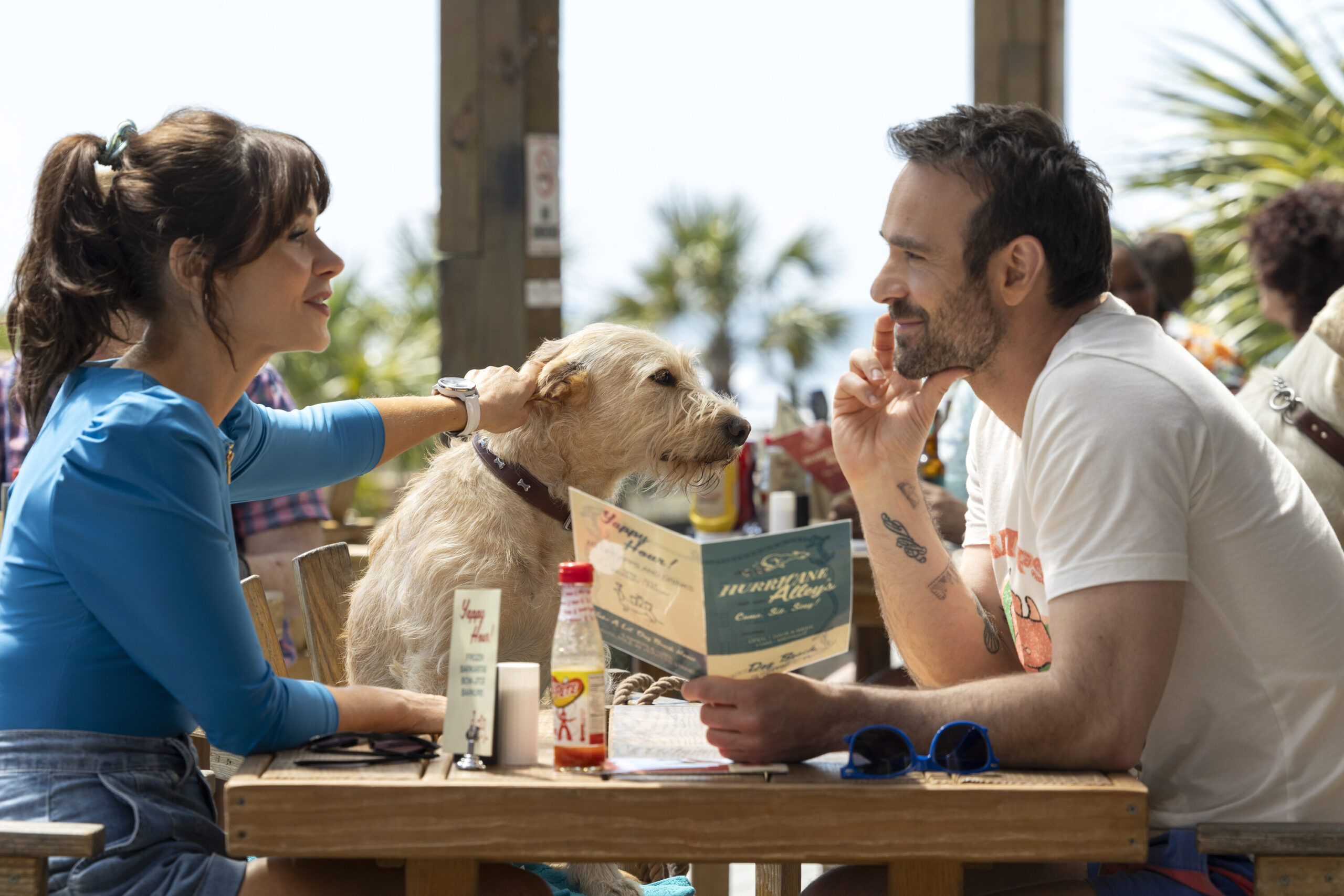 Merv: A Heartwarming Holiday Romantic Comedy